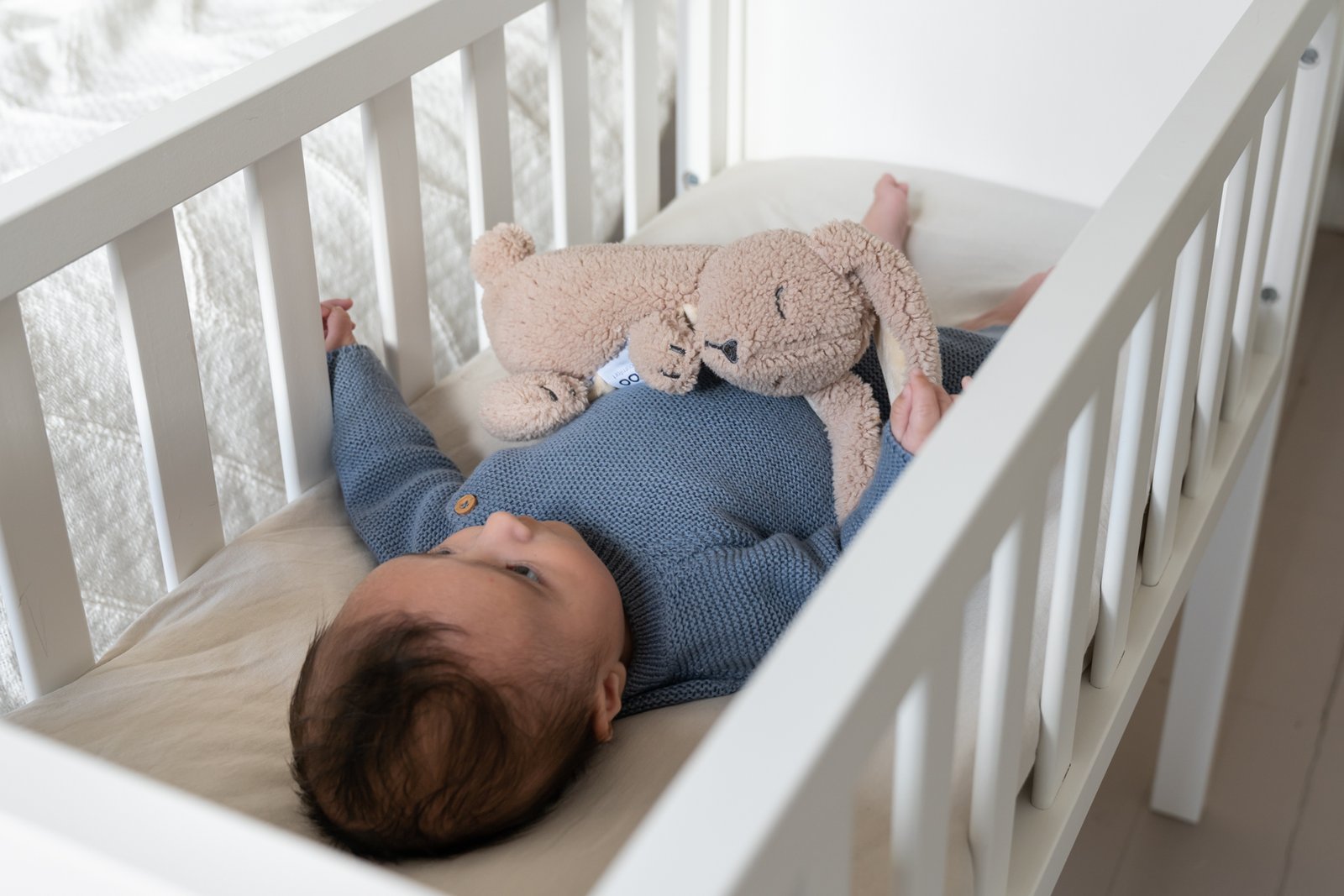 doomoo_lifestyle_Snoogy_Biscuit_DSC00360