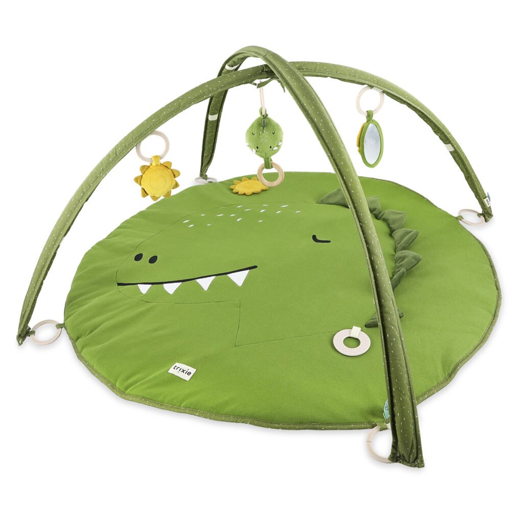 ACTIVITY PLAY MAT WITH ARCHES - MR. DINO