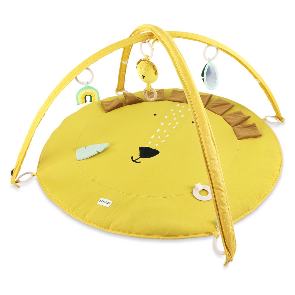 ACTIVITY PLAY MAT WITH ARCHES - MR. LION