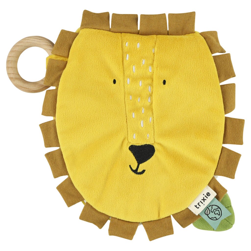SENSORY BOOK - MR. LION