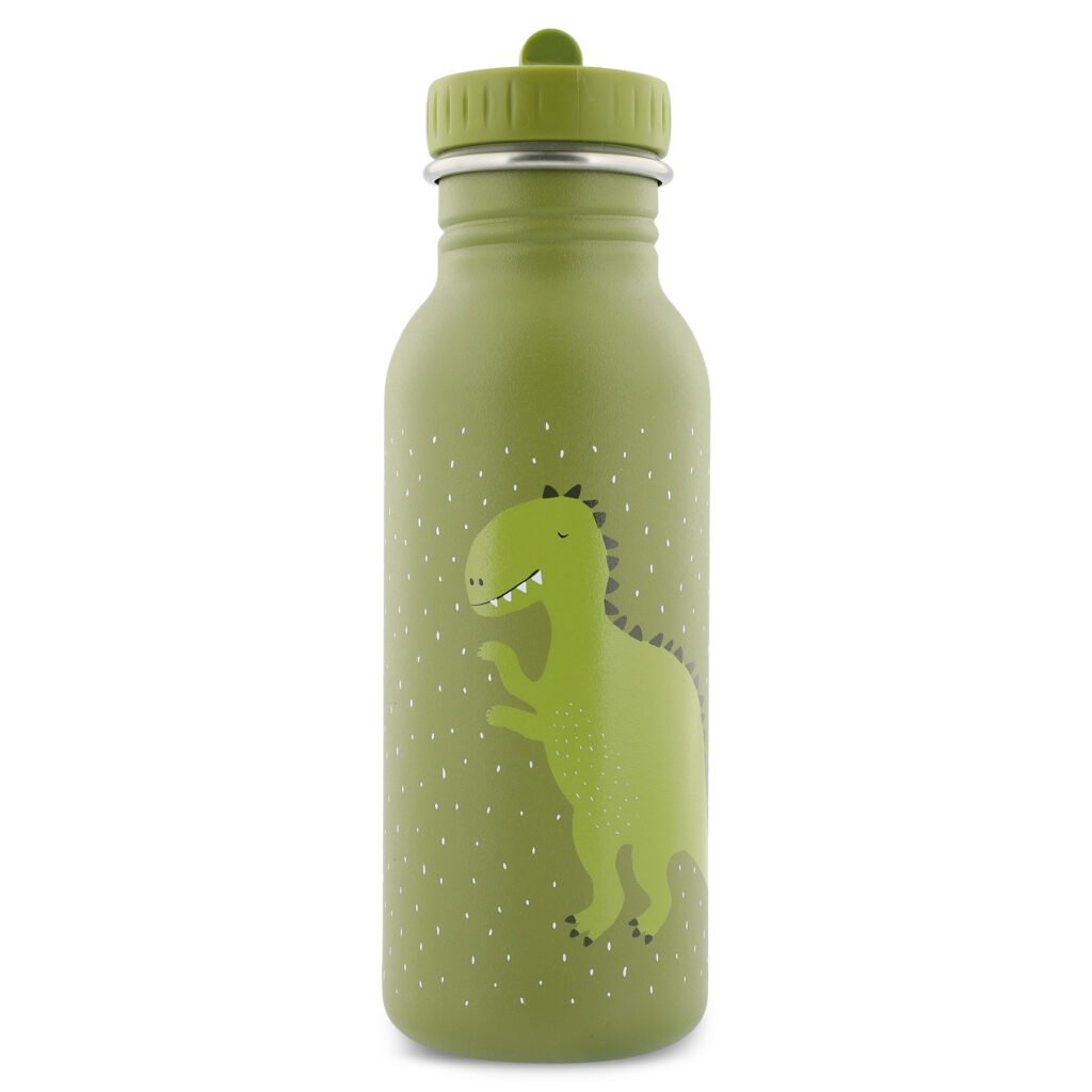 Water Bottle 500ml - Mr. Dino