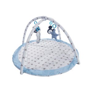 Mickey Play Gym