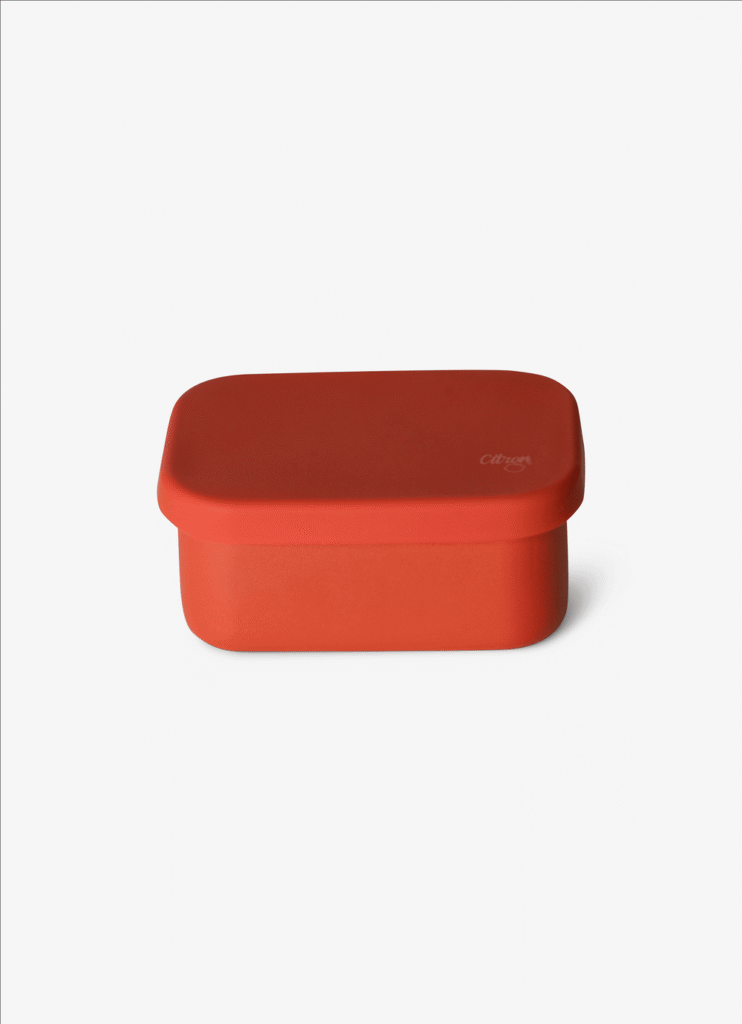 Citron Mini Stainless Steel Snackbox Brick