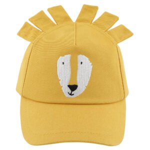Cap | 3-4 yr - Mr. Lion